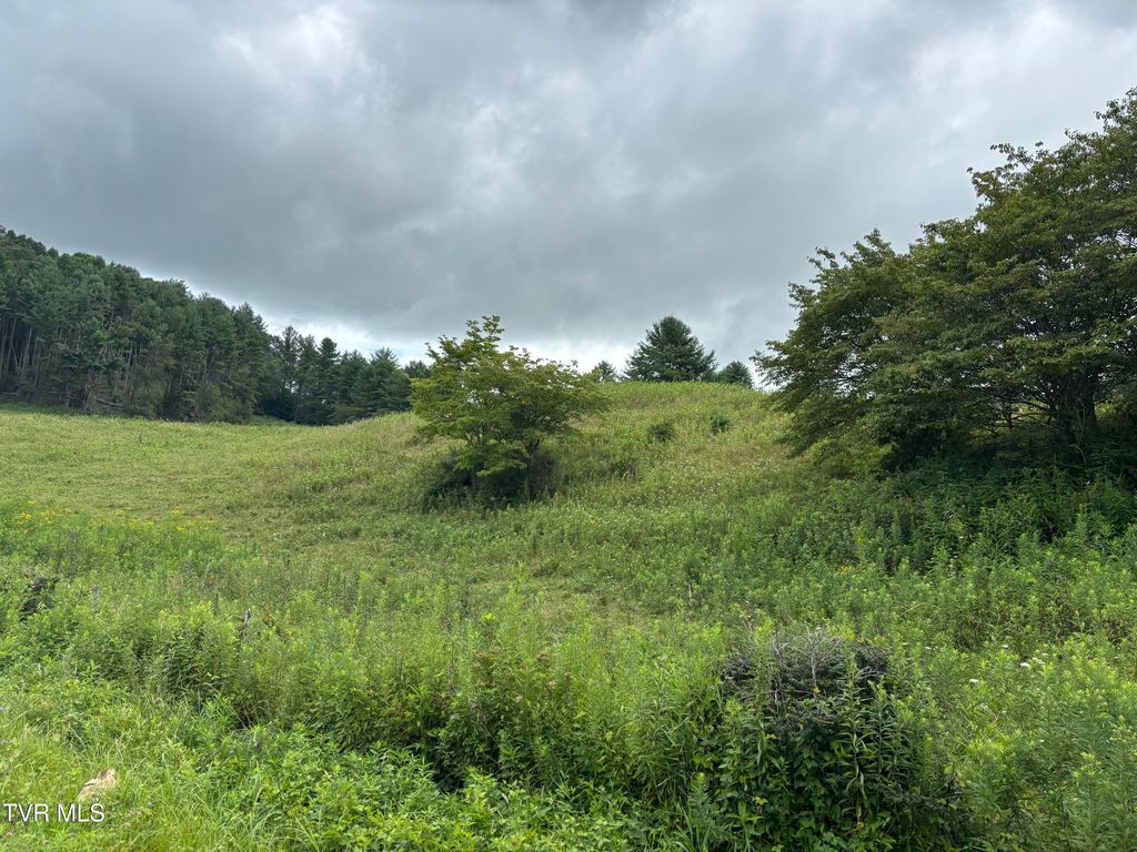 Photo of Tbd Jenkins Hollow Road, Mountain City, TN 37683 (MLS # 9983716)