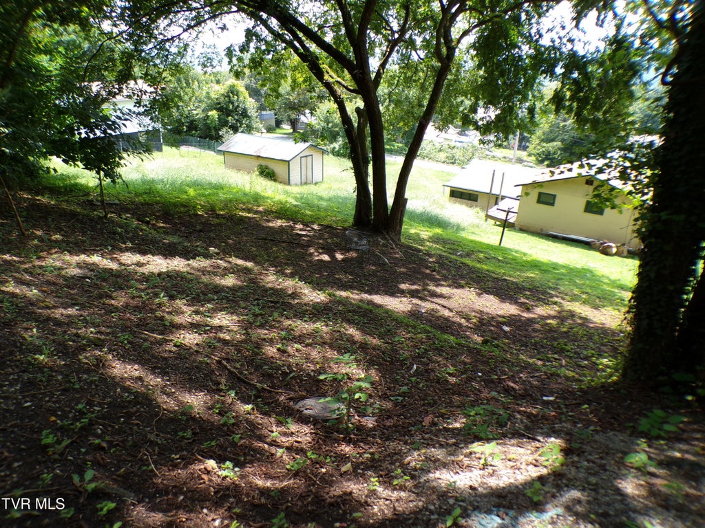 Photo of 1729 Charles Street, Kingsport, TN 37660 (MLS # 9999493)