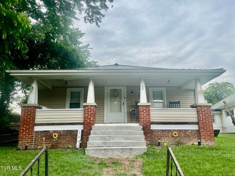 Homes For Sale - 1307 Millard Street<br/> Washington County County, Johnson City, TN 37601