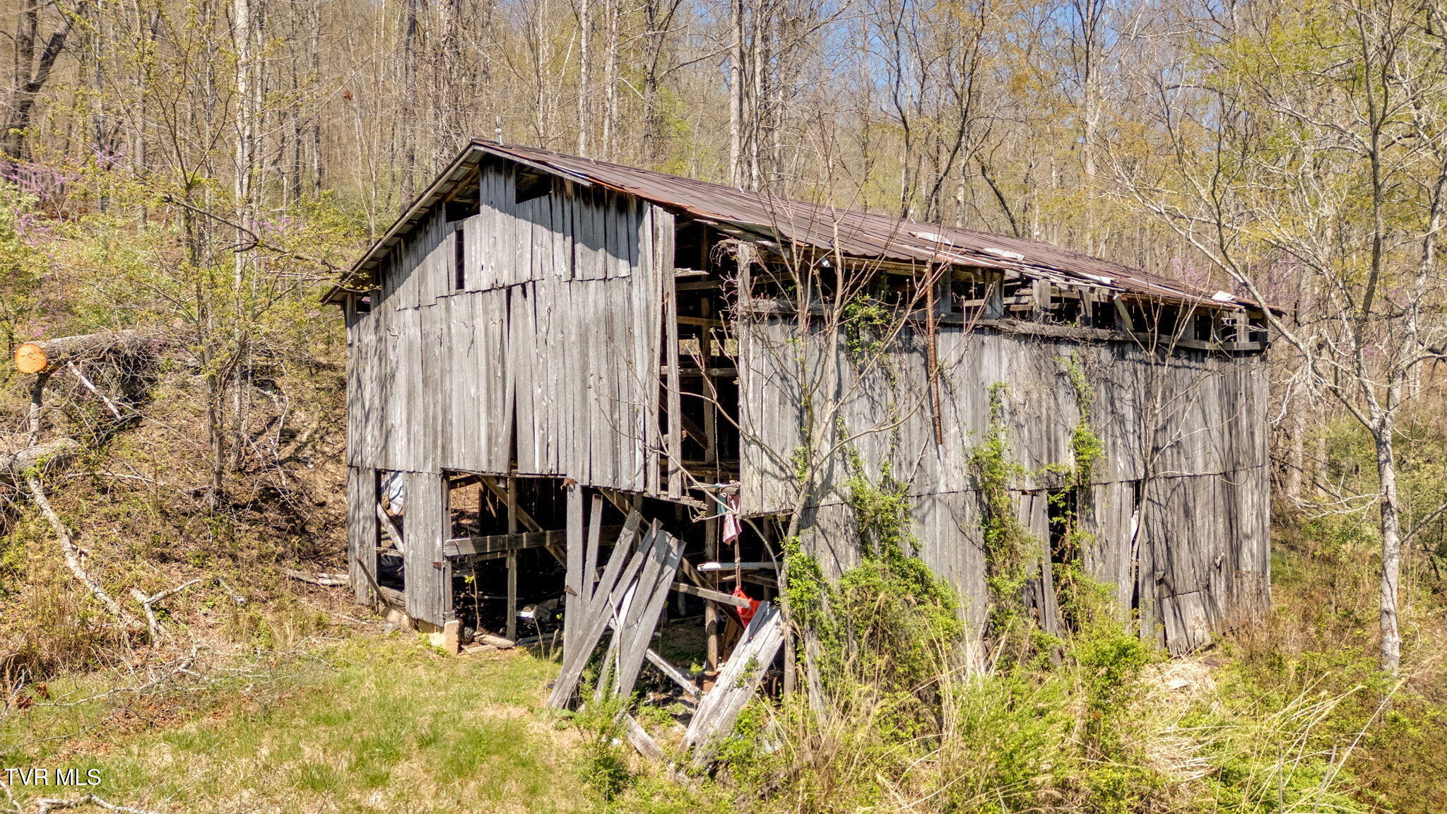 2740 Dry Creek Road, Blackwater, Virginia image 7