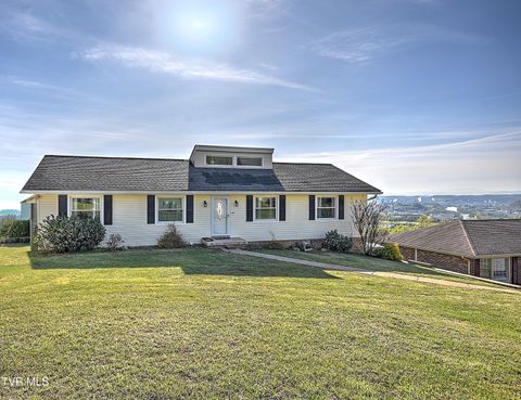 Homes For Sale - 1023 Starling Drive<br/> Kingsport, TN 37660