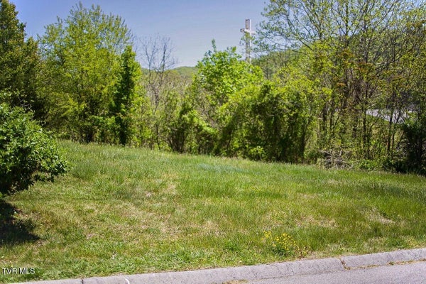 100 RICHMOND HEIGHTS RD, BRISTOL, TN 37620 - Image e81bc8beb76f6eb5072b0fb75ef9f71f/3941694891