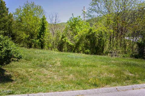 Vacant Land For Sale - 100 Richmond Heights Road<br/> Bristol, TN 37620