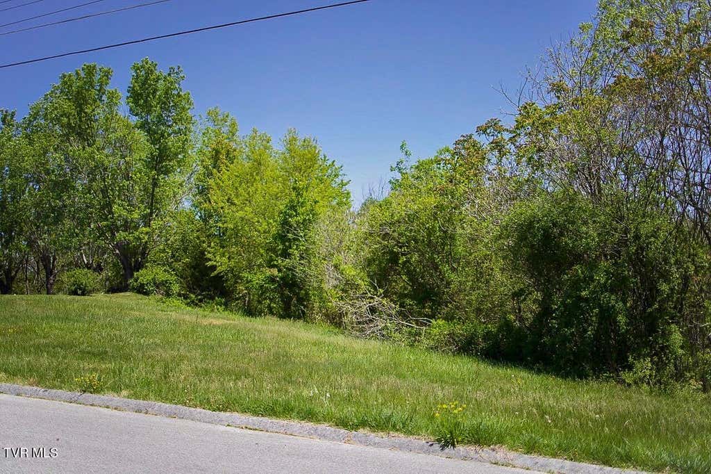 Photo of 100 Richmond Heights Road, Bristol, TN 37620 (MLS # 9999612)