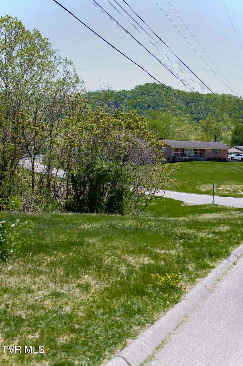 Photo of 100 Richmond Heights Road, Bristol, TN 37620 (MLS # 9999612)