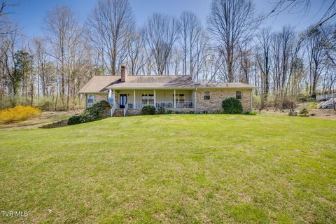 Photo of 381 Sugarwood Drive, Kingsport, TN 37663 (MLS # 9992875)