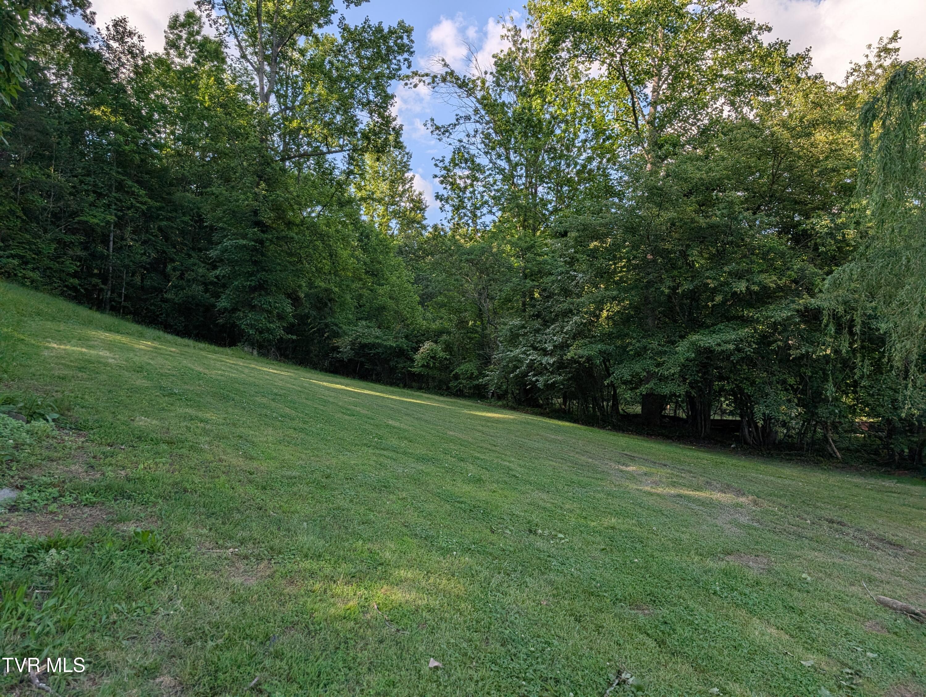 Tbd Hilton Road, Gate City, Virginia image 4