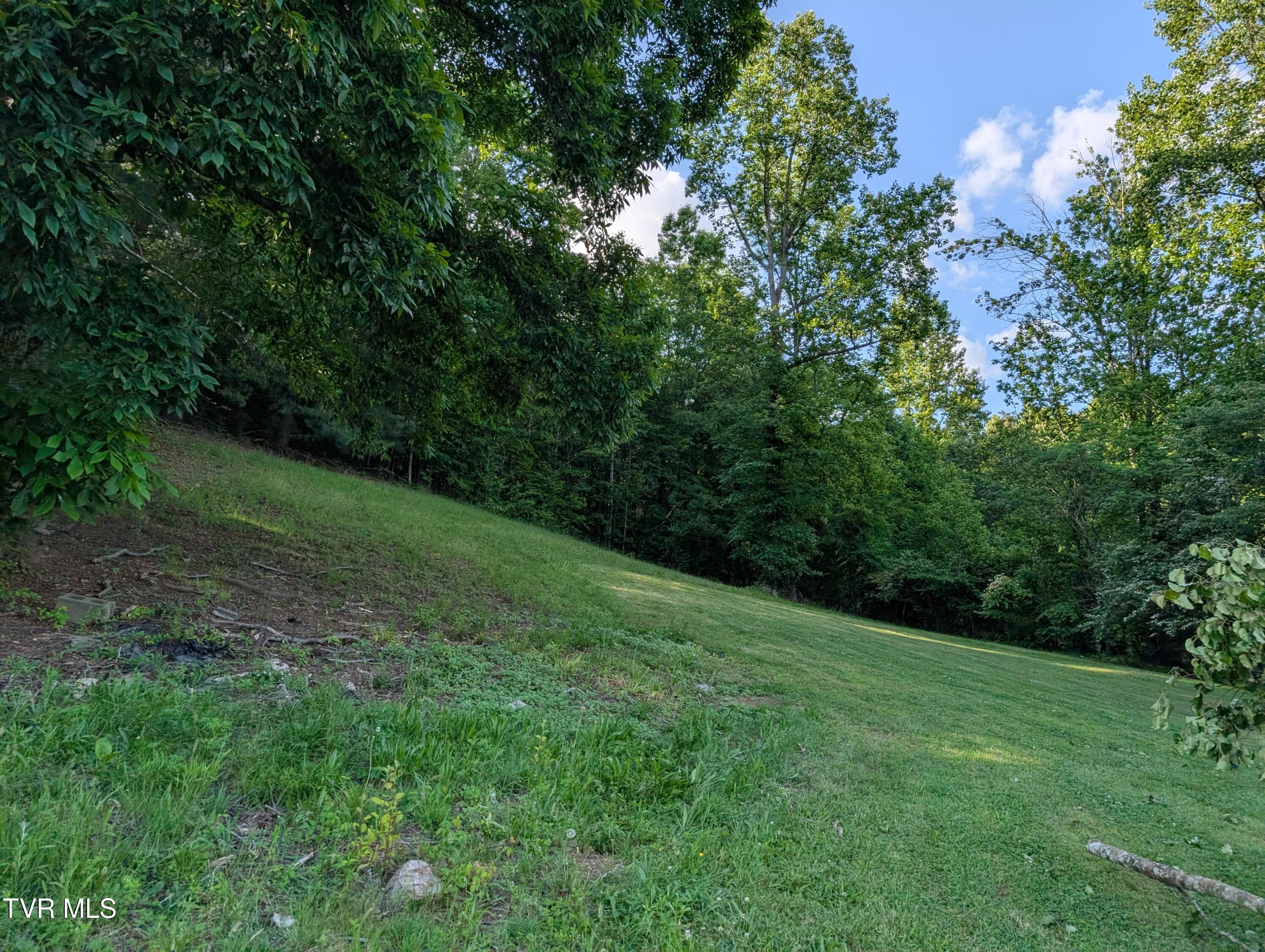 Tbd Hilton Road, Gate City, Virginia image 3