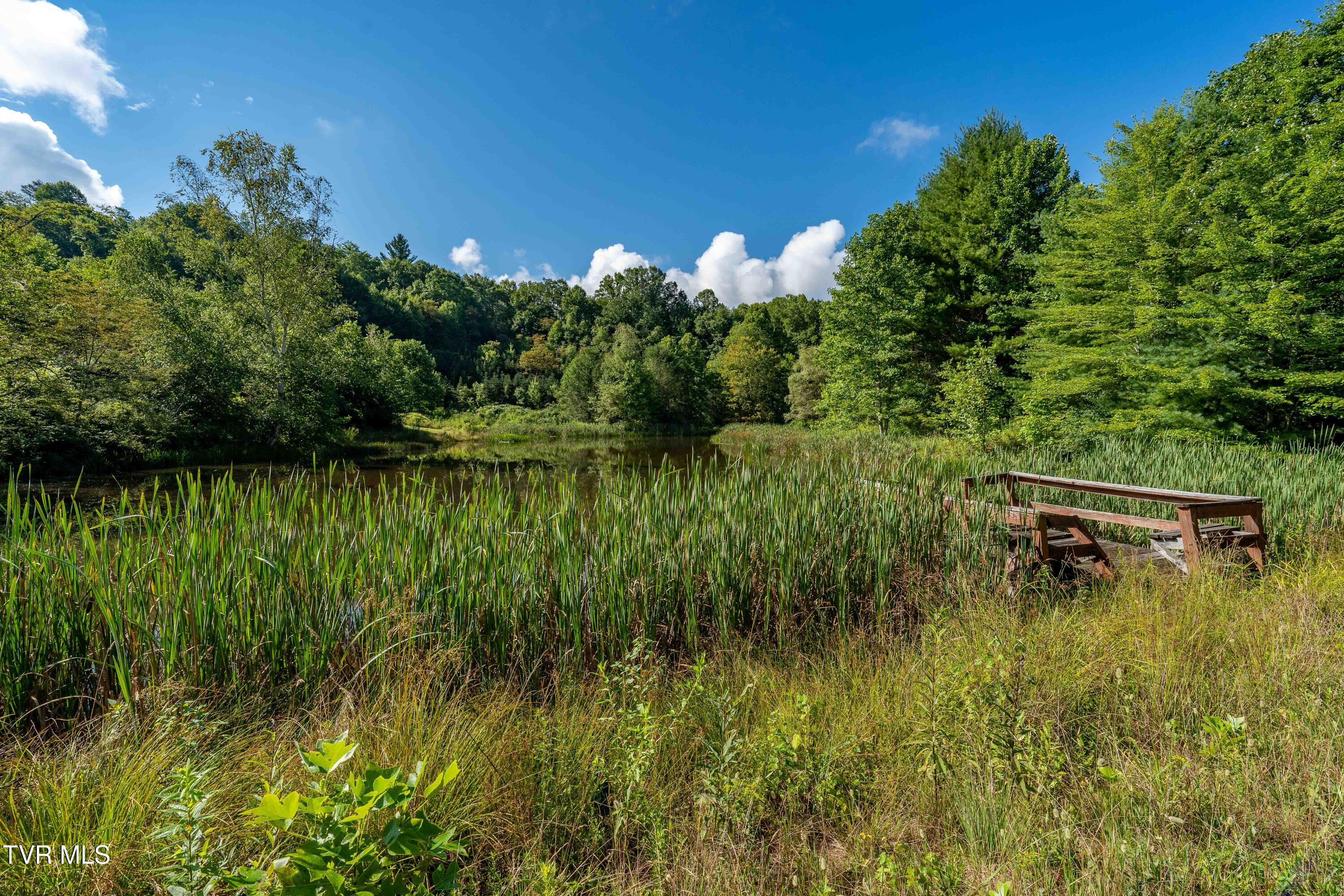 306 Bear Branch Rd Rd, Roan Mountain, Tennessee image 28