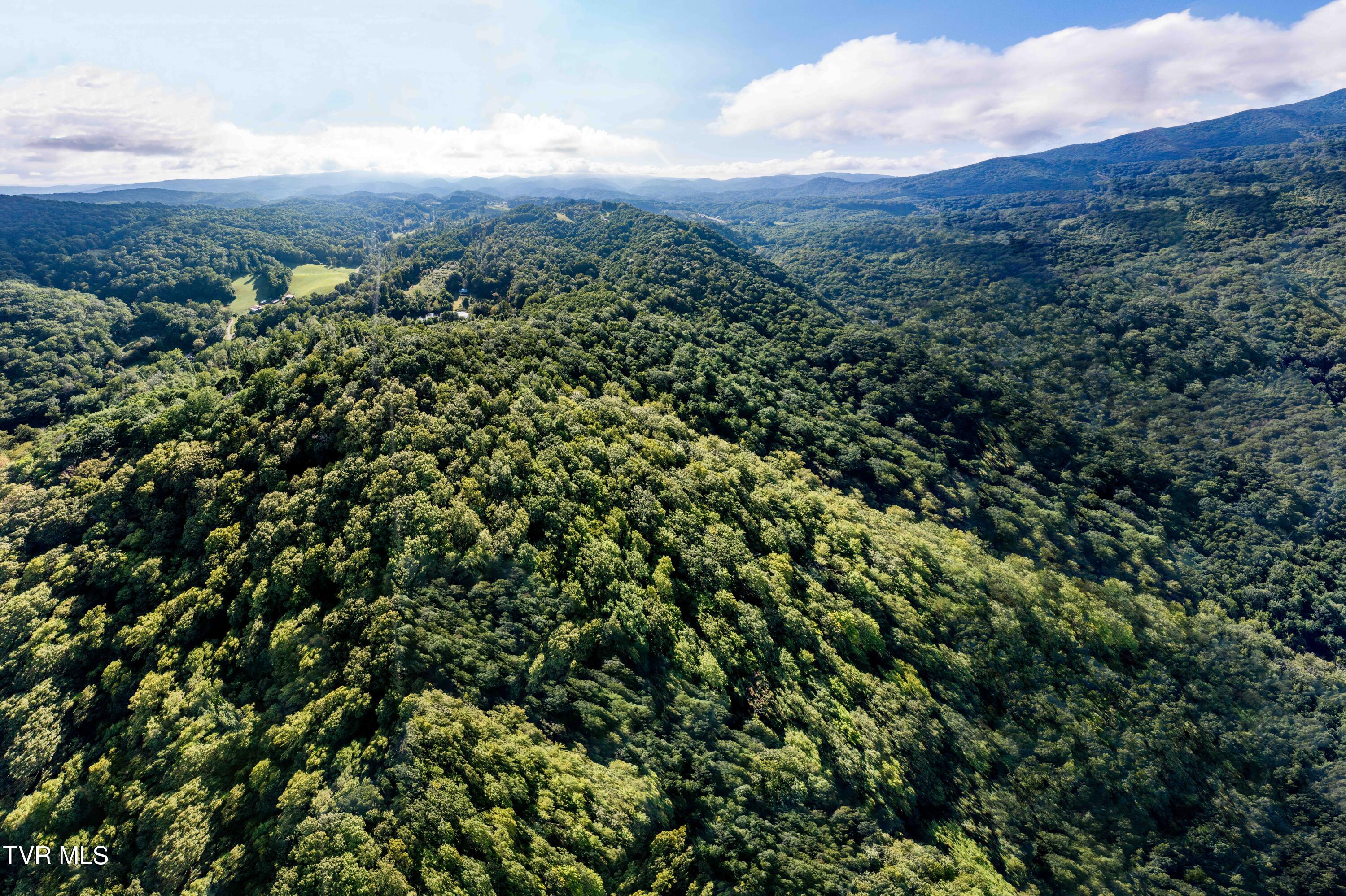 306 Bear Branch Rd Rd, Roan Mountain, Tennessee image 19