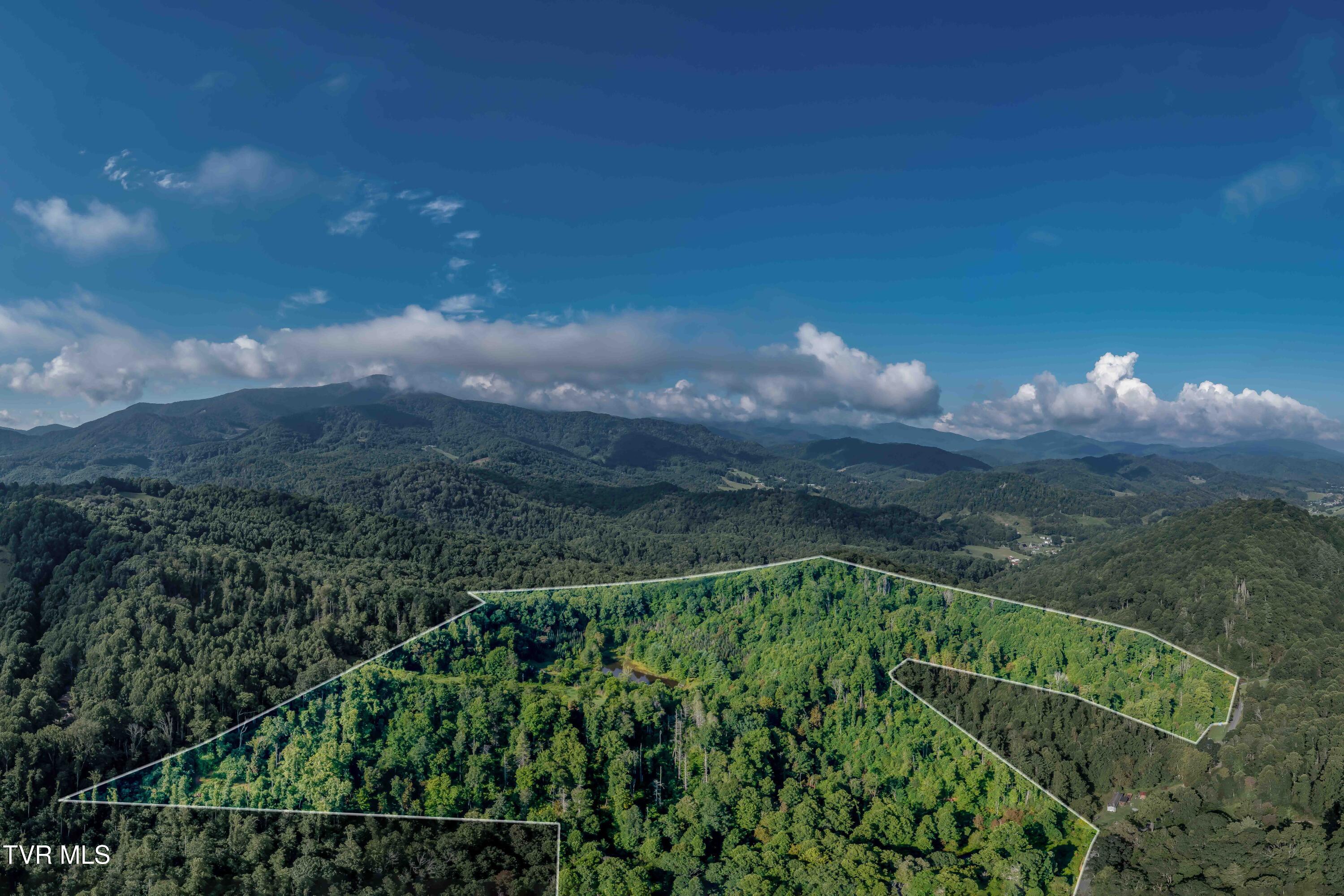 306 Bear Branch Rd Rd, Roan Mountain, Tennessee image 7