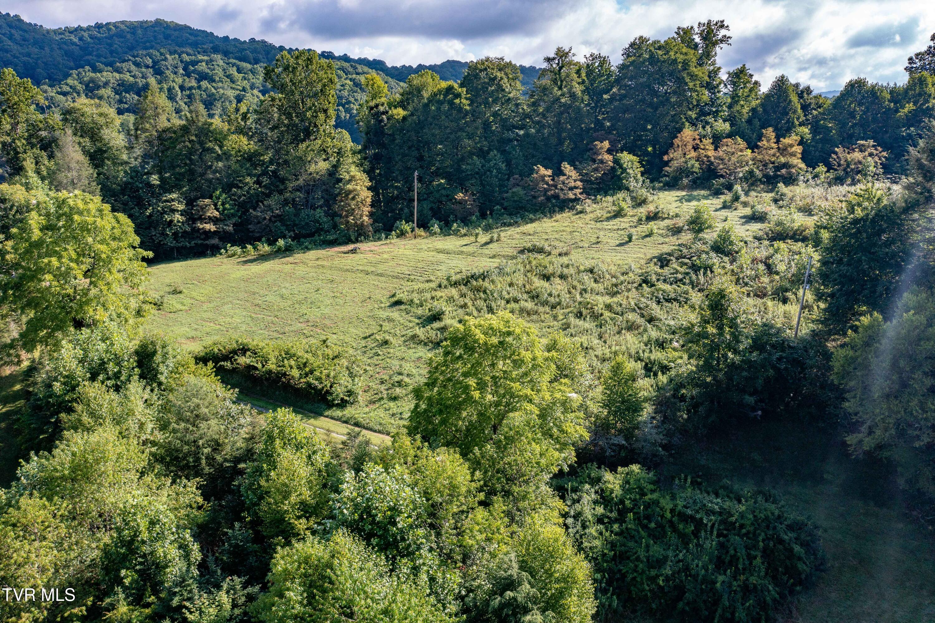 306 Bear Branch Rd Rd, Roan Mountain, Tennessee image 41