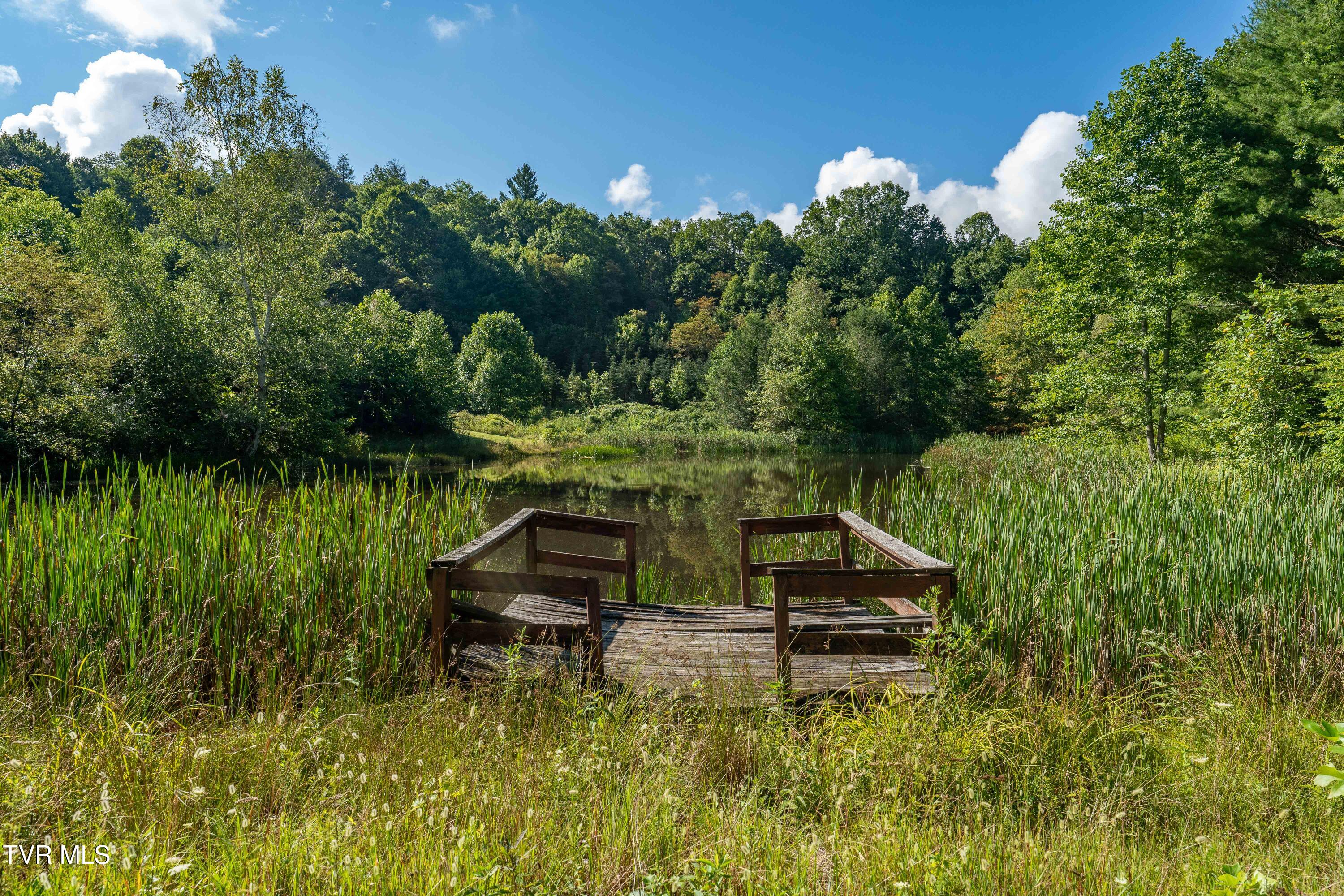 306 Bear Branch Rd Rd, Roan Mountain, Tennessee image 29