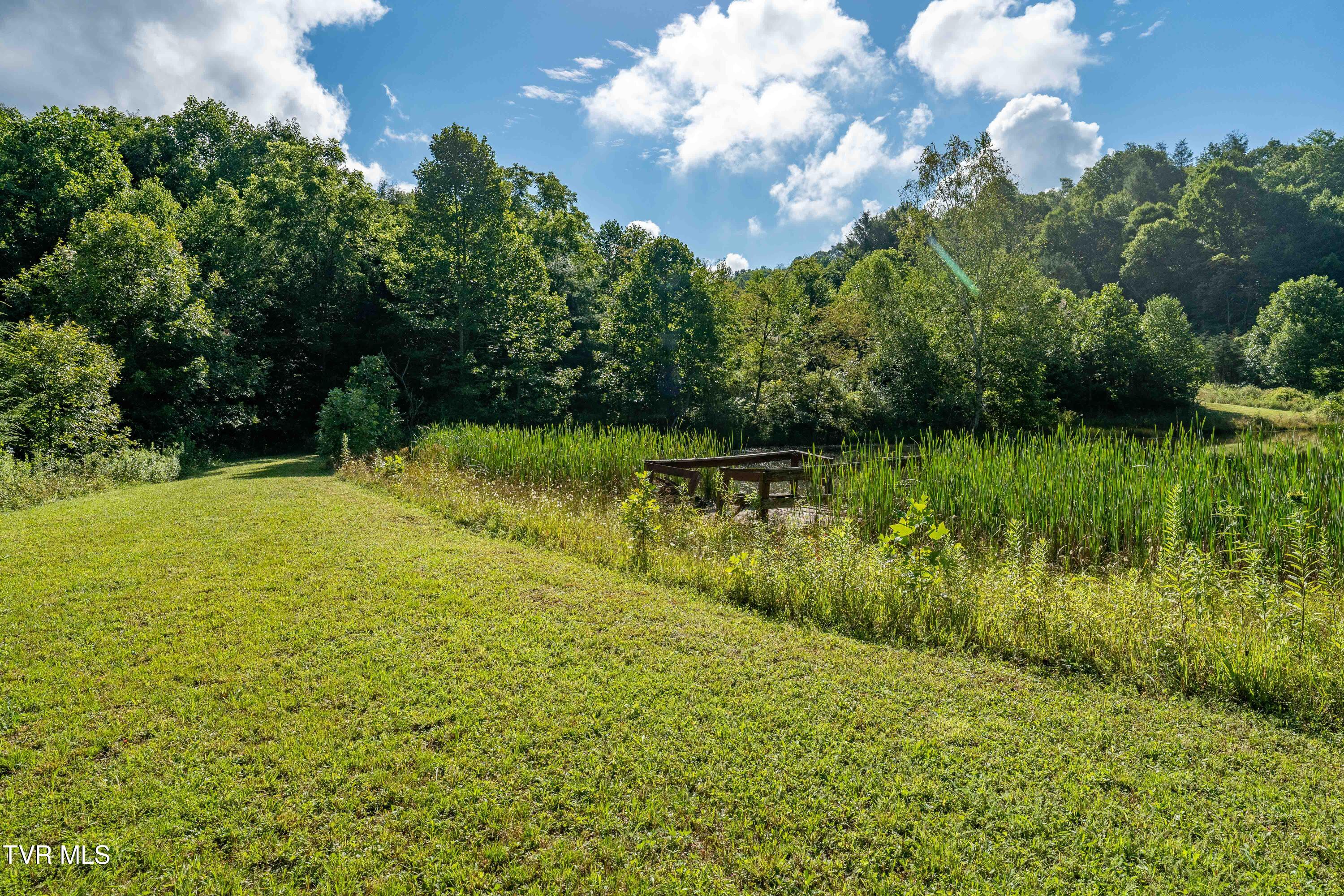 306 Bear Branch Rd Rd, Roan Mountain, Tennessee image 30