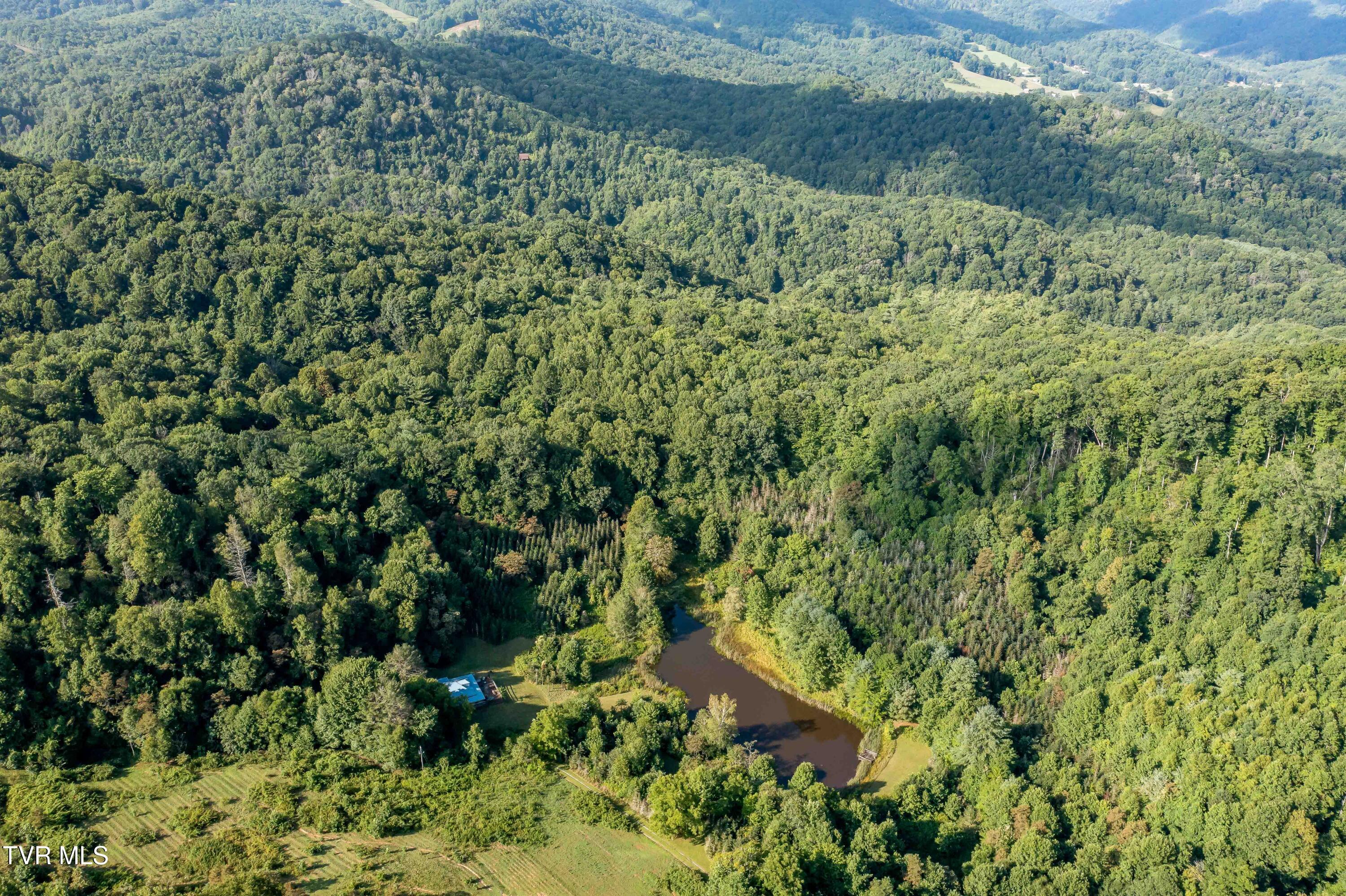 306 Bear Branch Rd Rd, Roan Mountain, Tennessee image 10