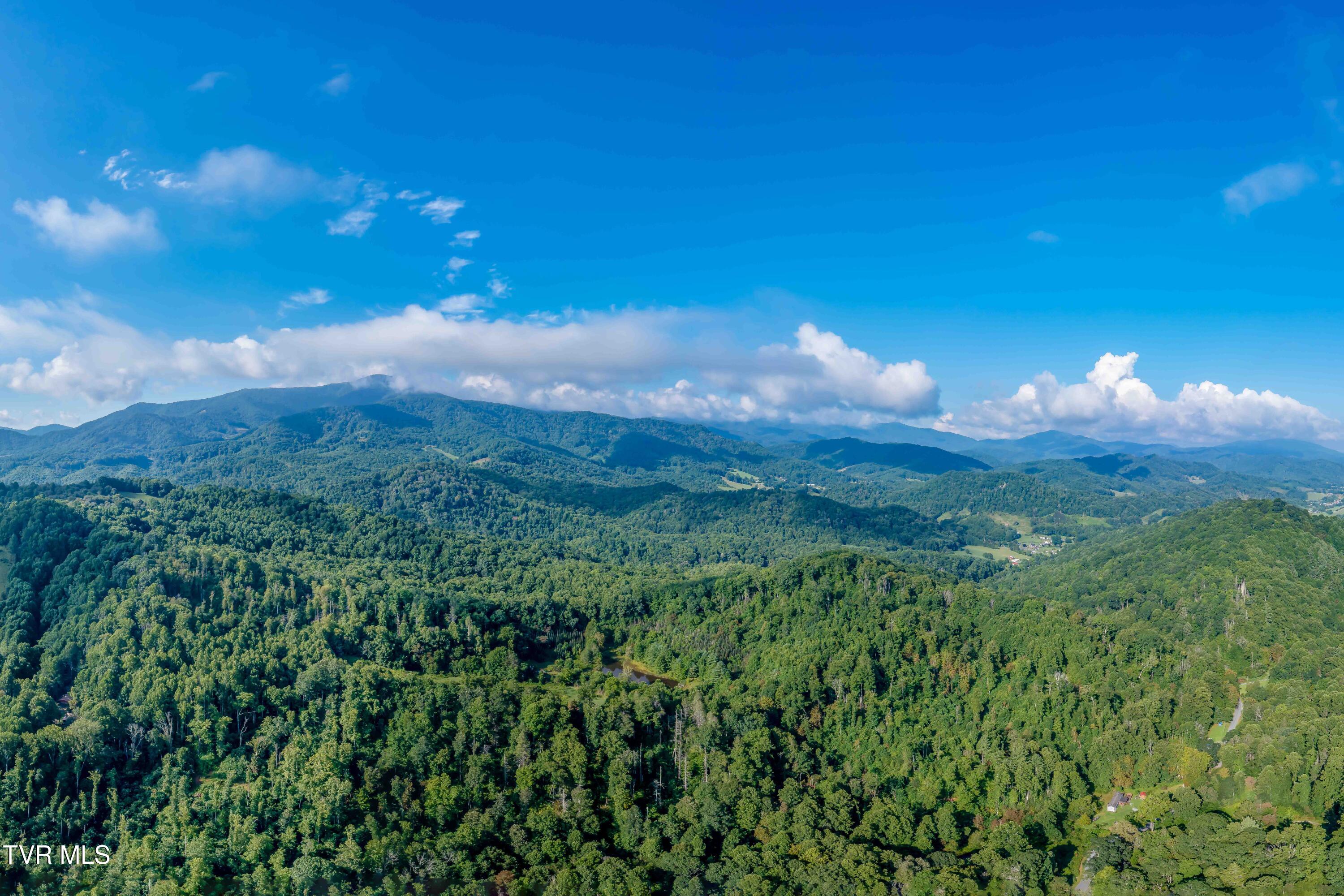306 Bear Branch Rd Rd, Roan Mountain, Tennessee image 8