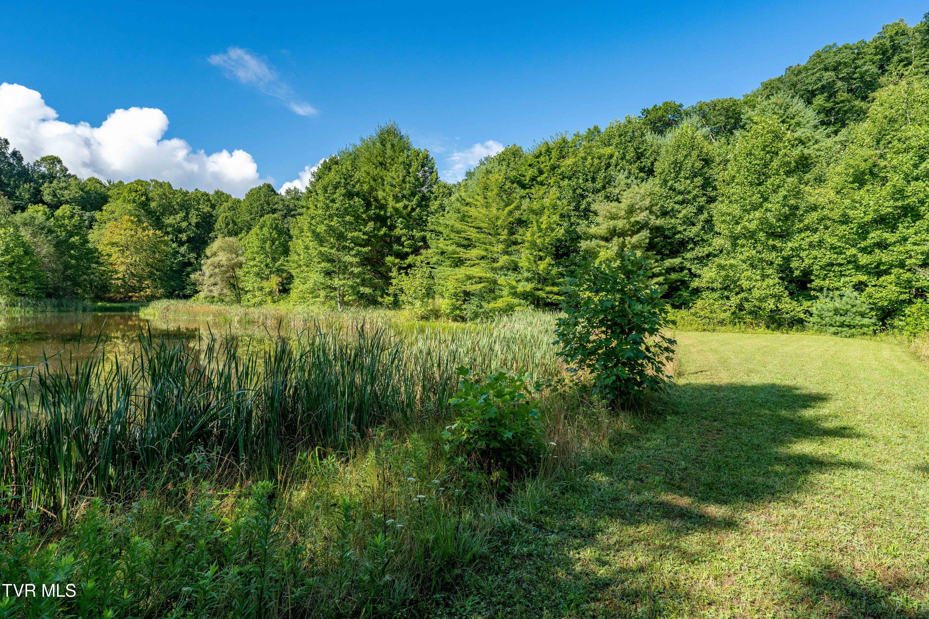 306 Bear Branch Rd Rd, Roan Mountain, Tennessee image 27
