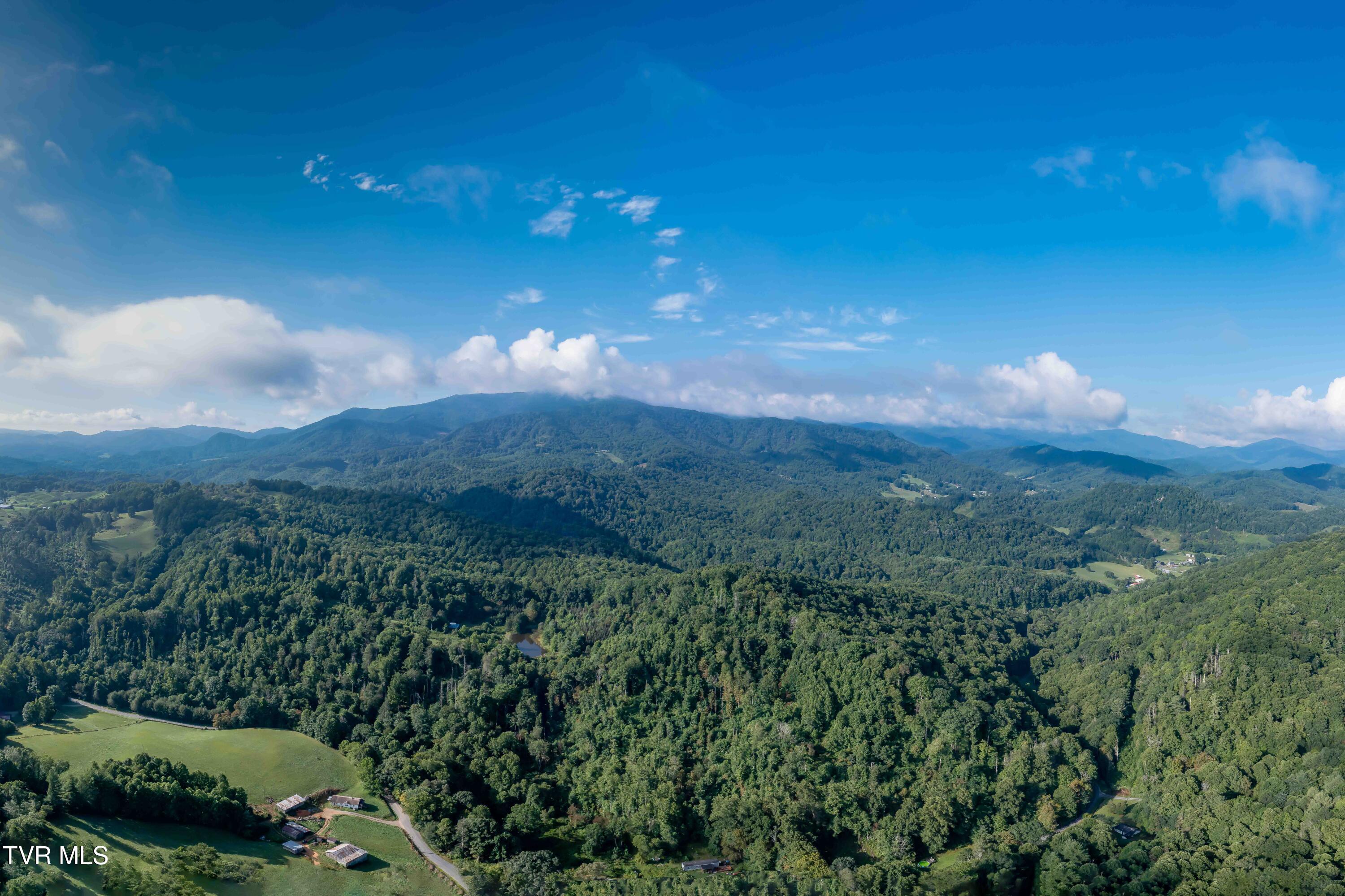 306 Bear Branch Rd Rd, Roan Mountain, Tennessee image 3