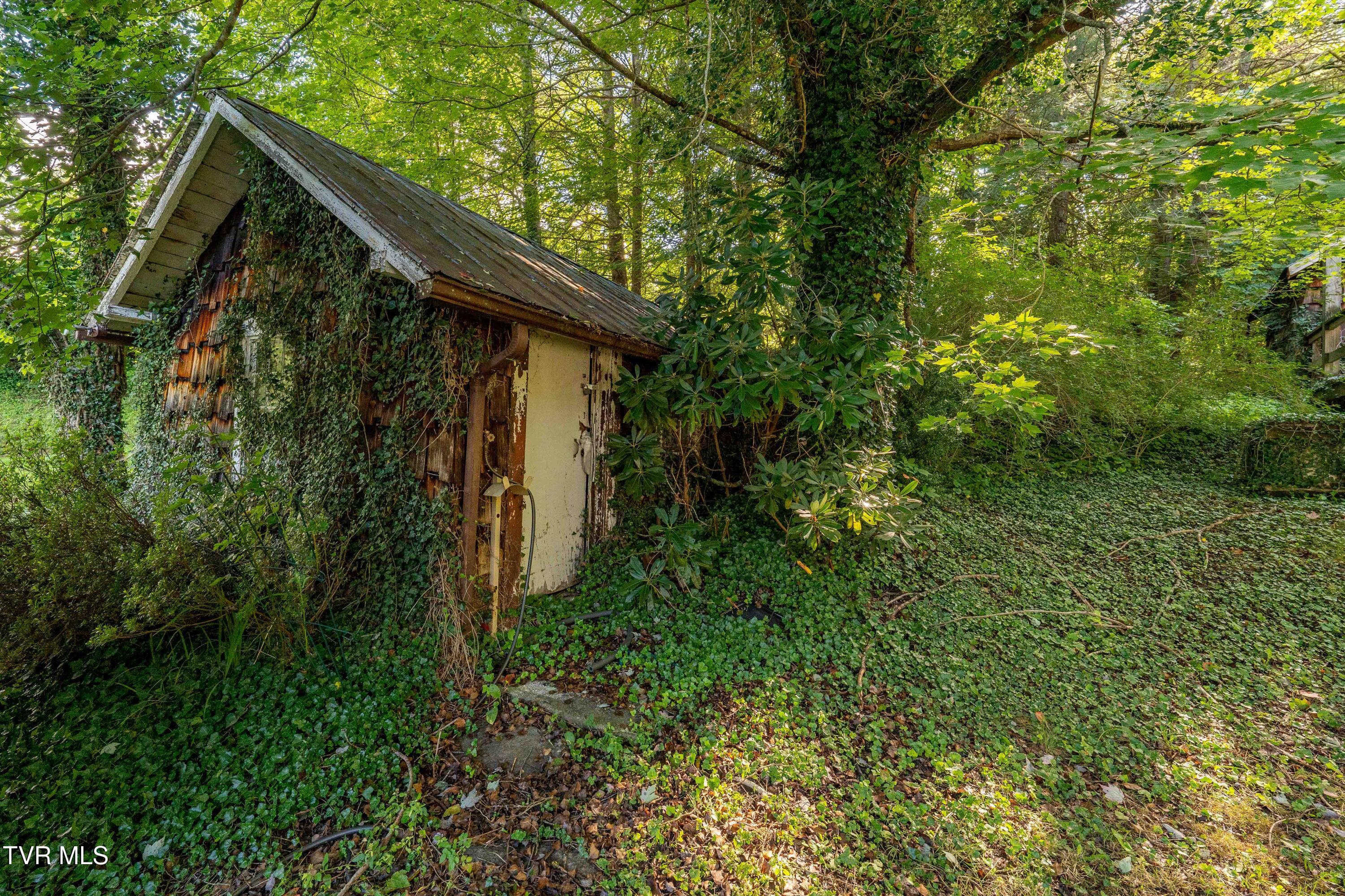 306 Bear Branch Rd Rd, Roan Mountain, Tennessee image 45