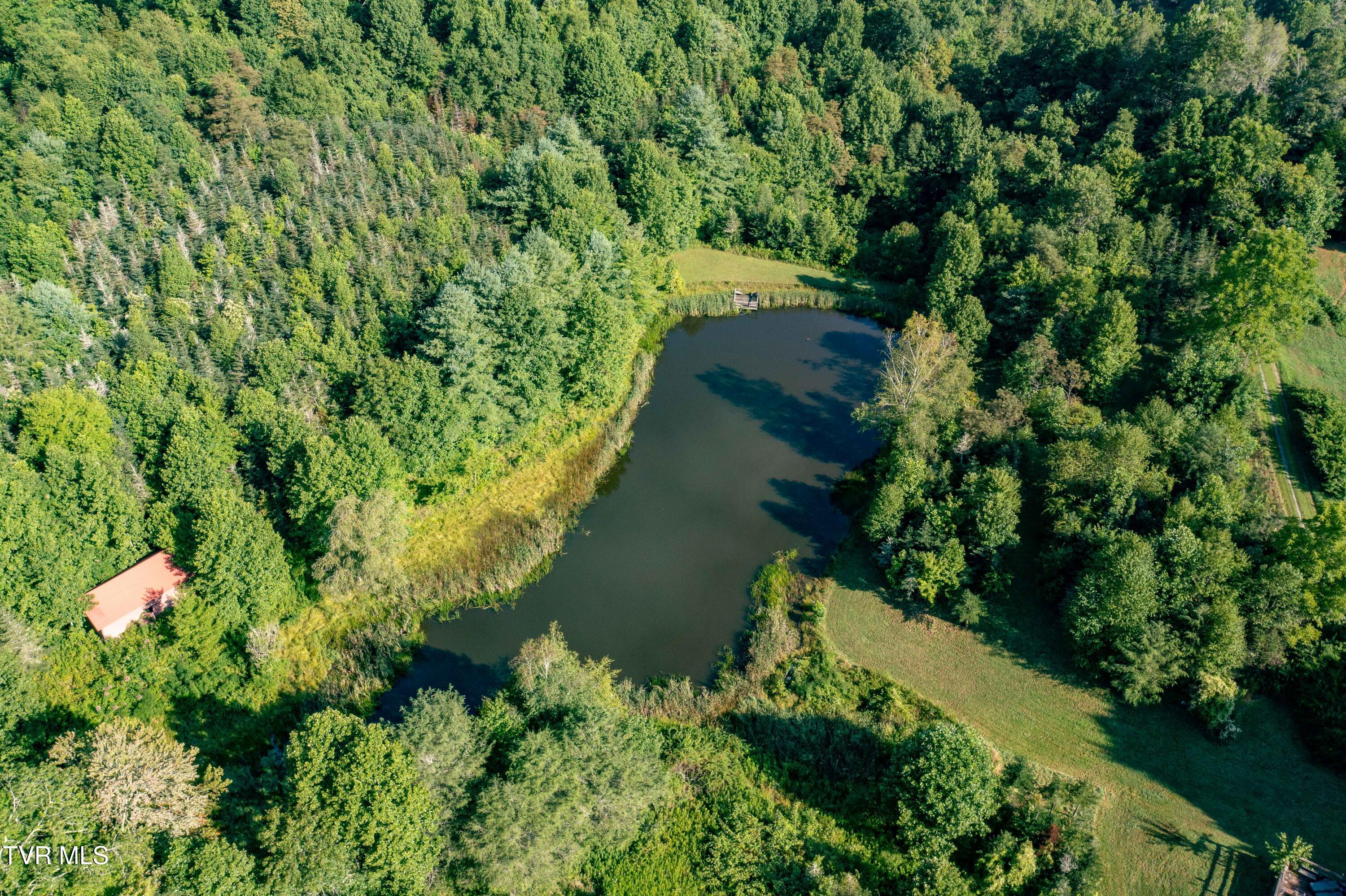 306 Bear Branch Rd Rd, Roan Mountain, Tennessee image 33