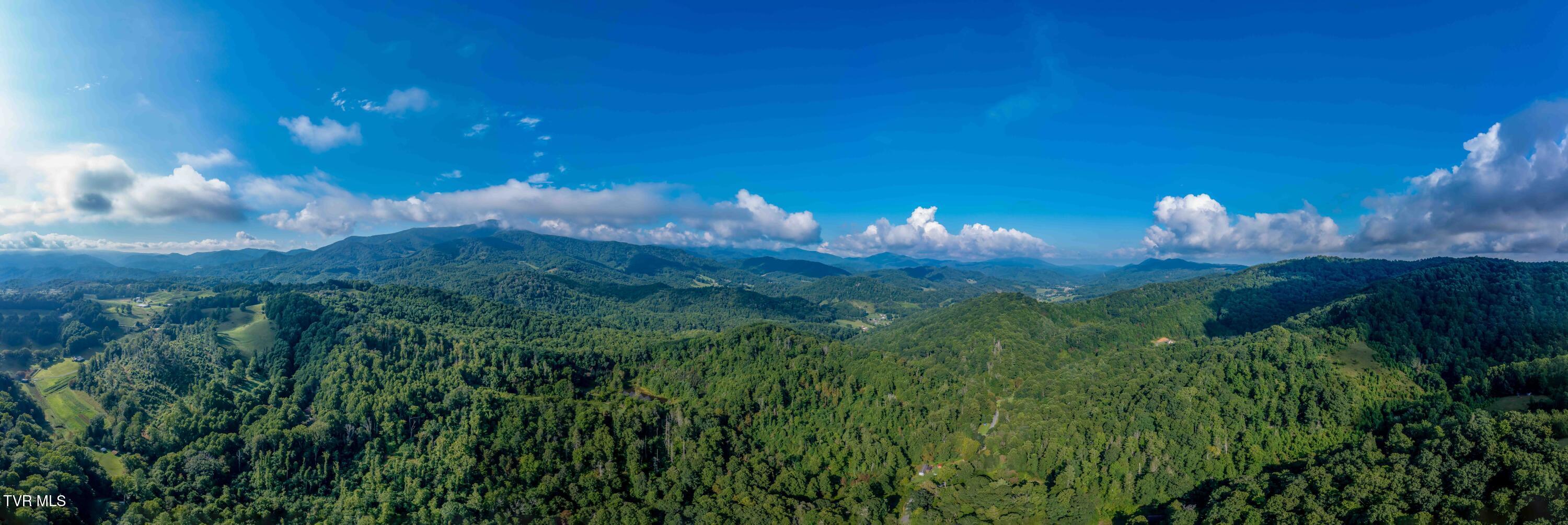 306 Bear Branch Rd Rd, Roan Mountain, Tennessee image 9