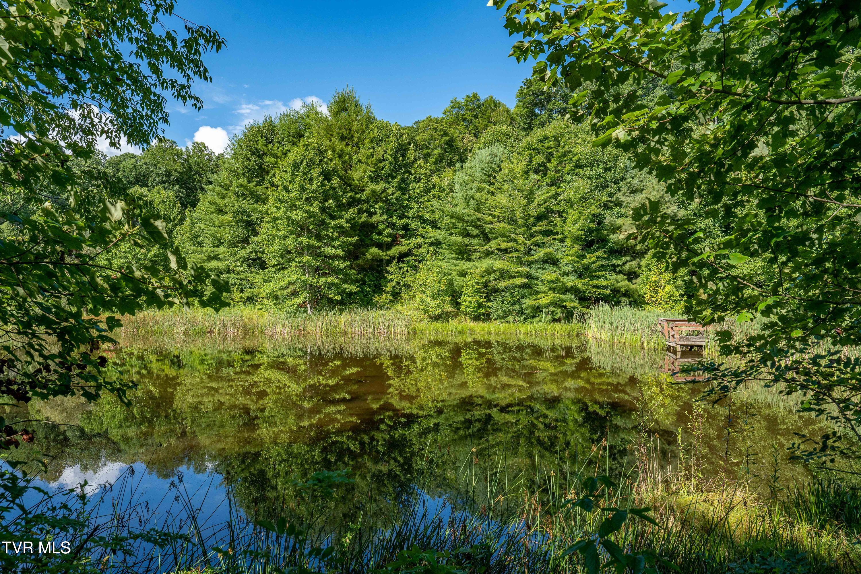 306 Bear Branch Rd Rd, Roan Mountain, Tennessee image 26