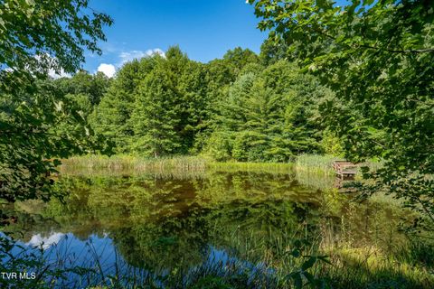 Vacant Land For Sale - 306 Bear Branch Rd Rd<br/> Roan Mountain, TN 37687