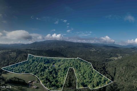 306 Bear Branch Rd Roan Mountain TN 37687