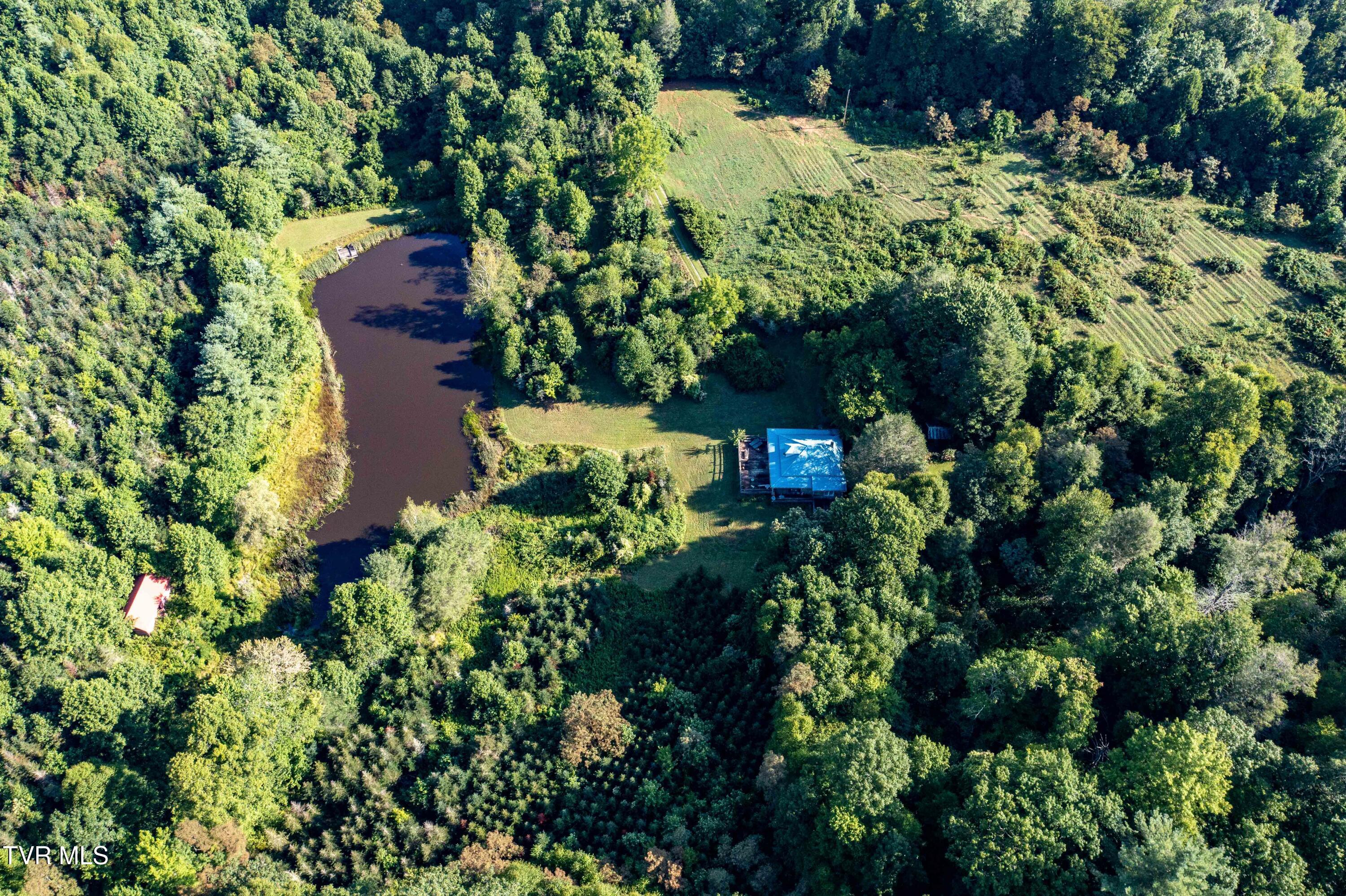 306 Bear Branch Rd Rd, Roan Mountain, Tennessee image 23