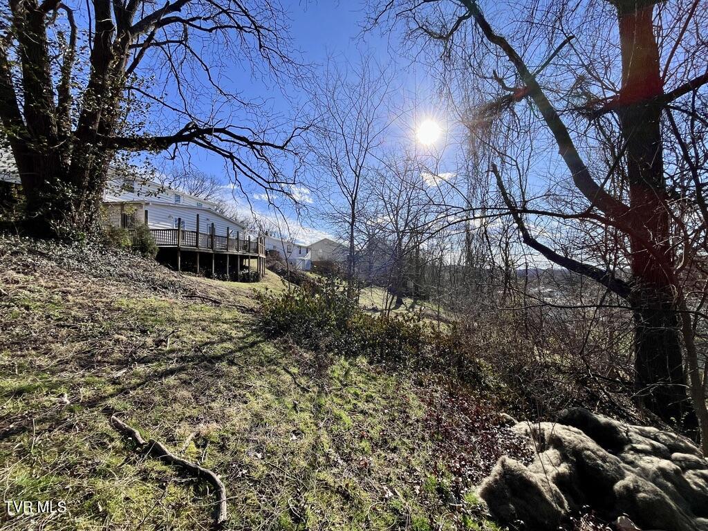 321 Leonard Street, Greeneville, Tennessee image 15