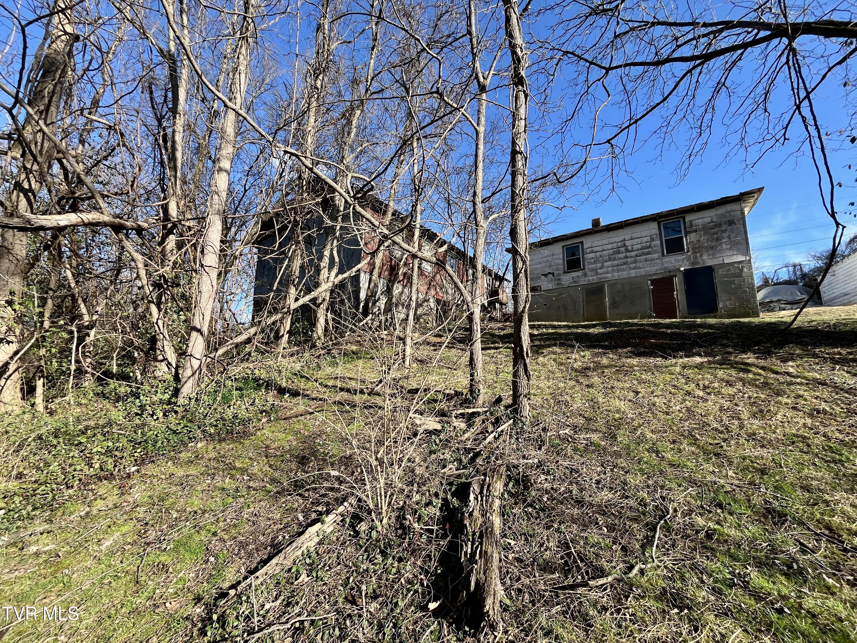 321 Leonard Street, Greeneville, Tennessee image 13