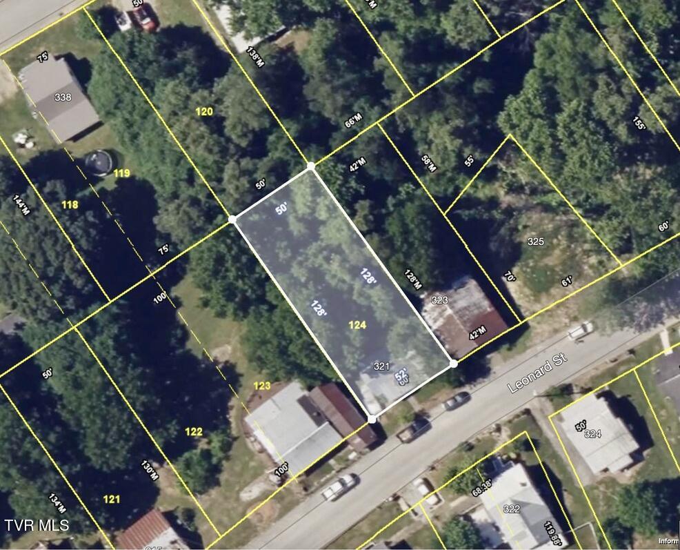 321 Leonard Street, Greeneville, Tennessee image 3