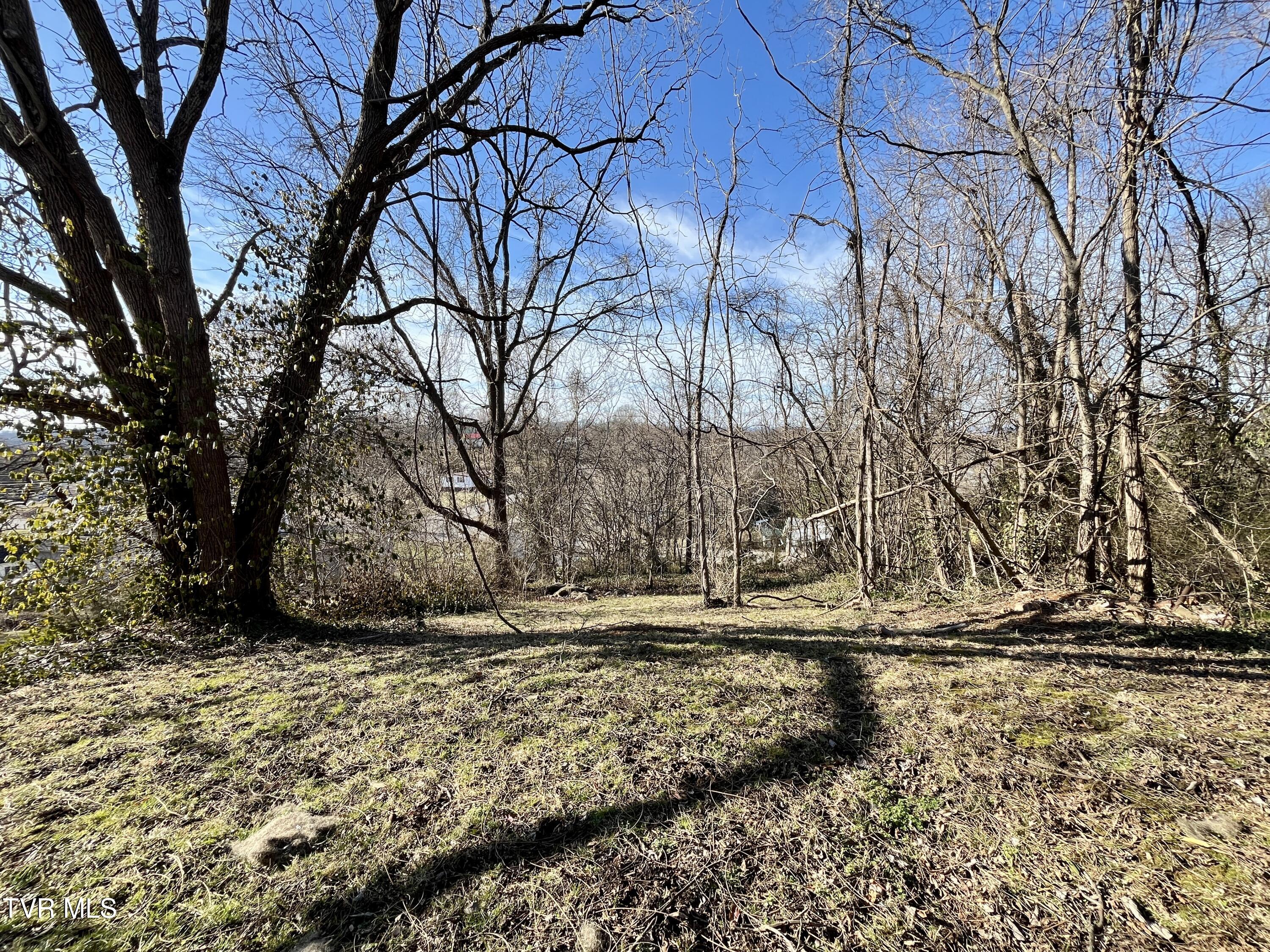 321 Leonard Street, Greeneville, Tennessee image 11