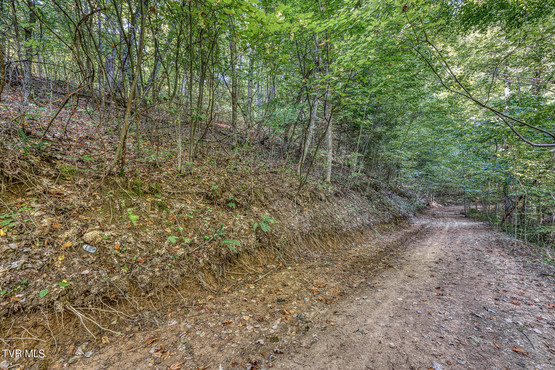 Tbd White Oak Lane, Laurel Bloomery, Tennessee image 9