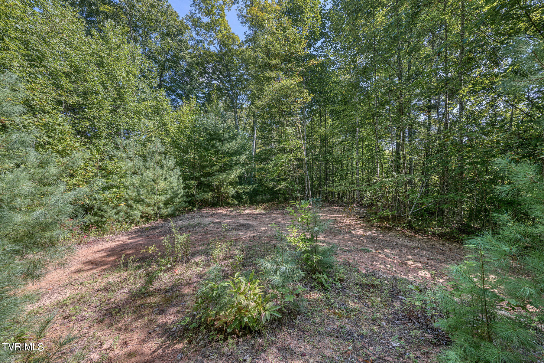 Tbd White Oak Lane, Laurel Bloomery, Tennessee image 12