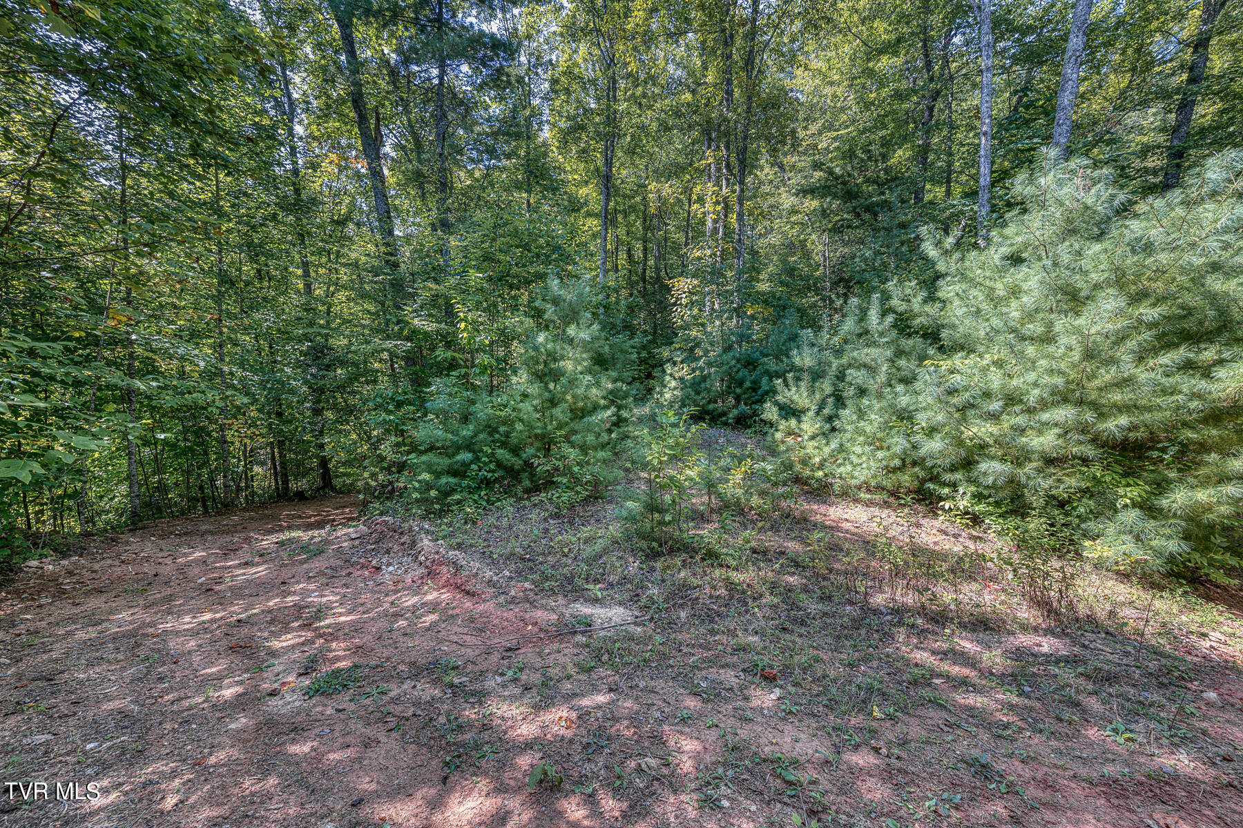 Tbd White Oak Lane, Laurel Bloomery, Tennessee image 11