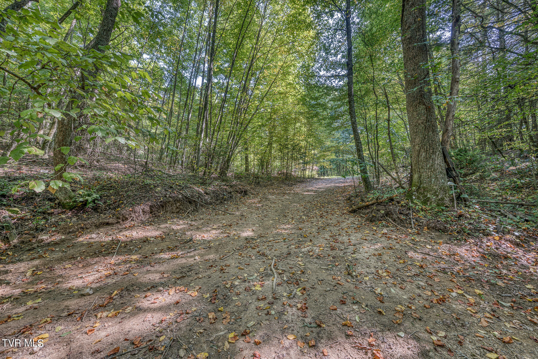 Tbd White Oak Lane, Laurel Bloomery, Tennessee image 6