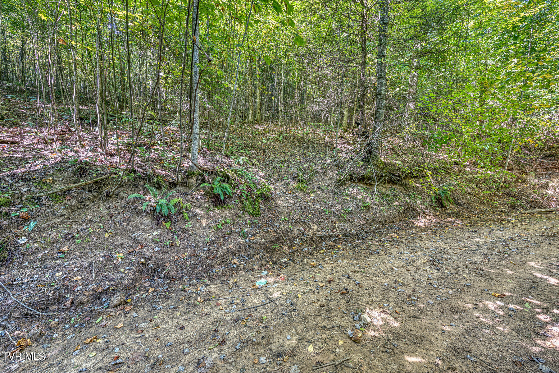 Tbd White Oak Lane, Laurel Bloomery, Tennessee image 18