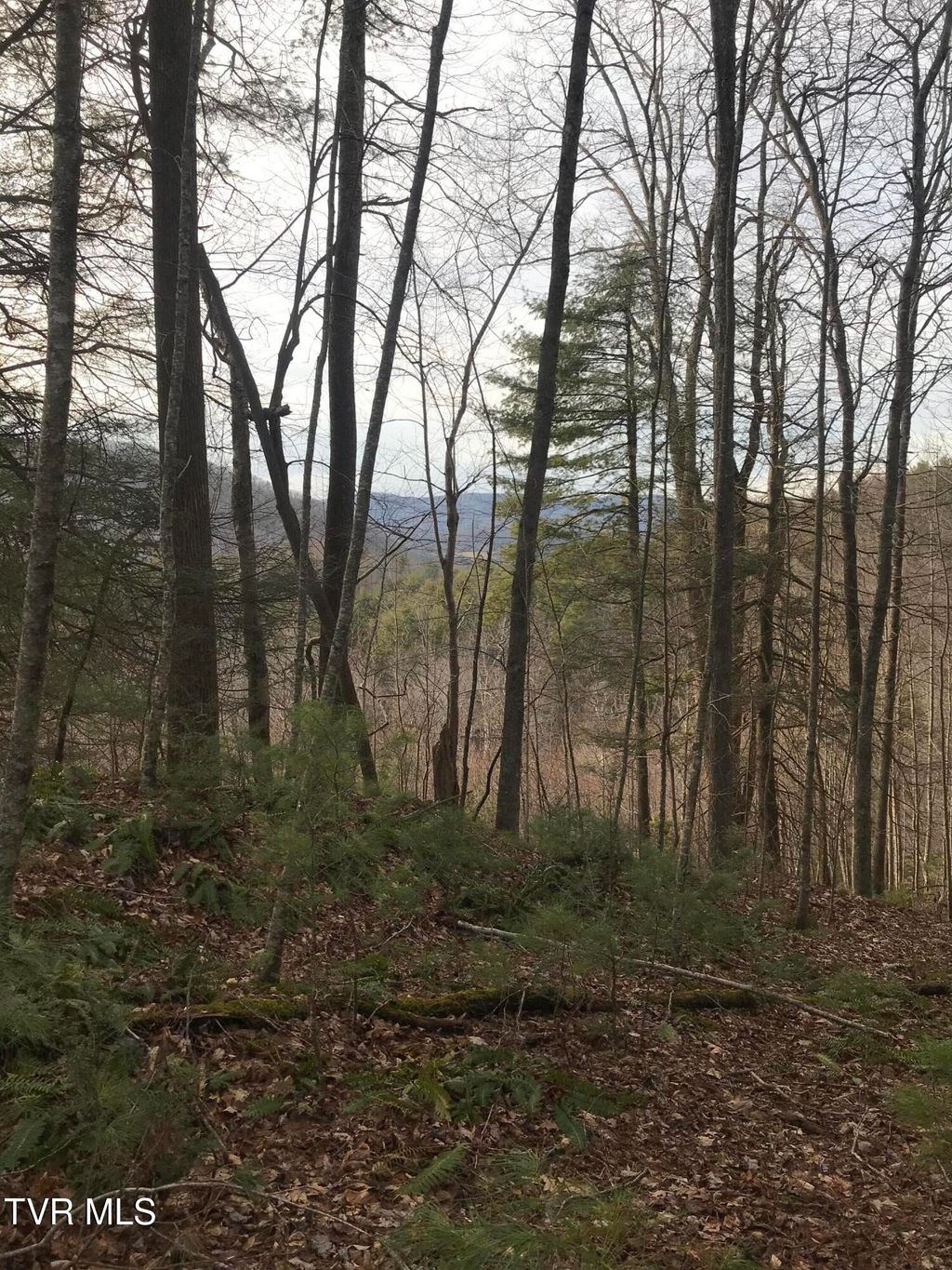 Photo of Tbd00 Mohawk Drive, Mountain City, TN 37683 (MLS # 9990927)