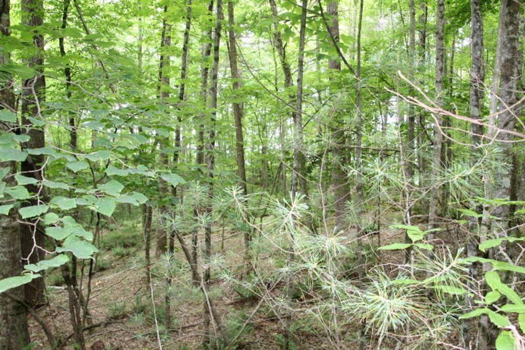 Photo of Tbd00 Mohawk Drive, Mountain City, TN 37683 (MLS # 9990927)