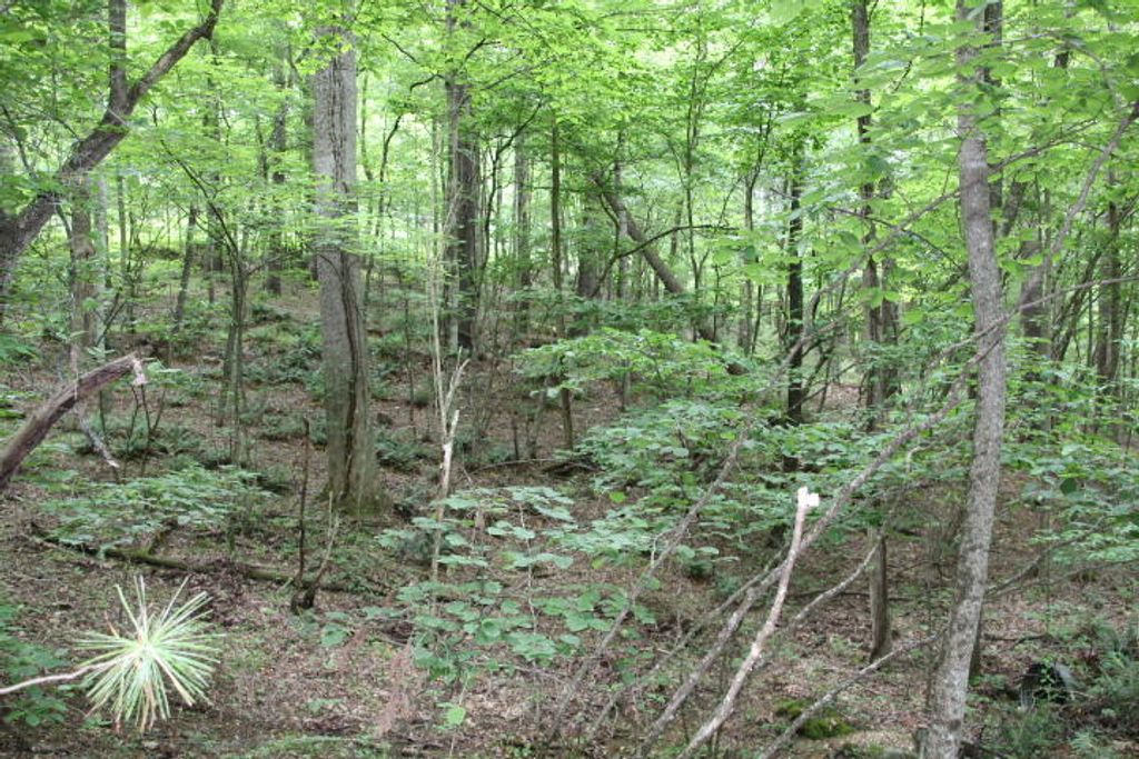 Photo of Tbd00 Mohawk Drive, Mountain City, TN 37683 (MLS # 9990927)