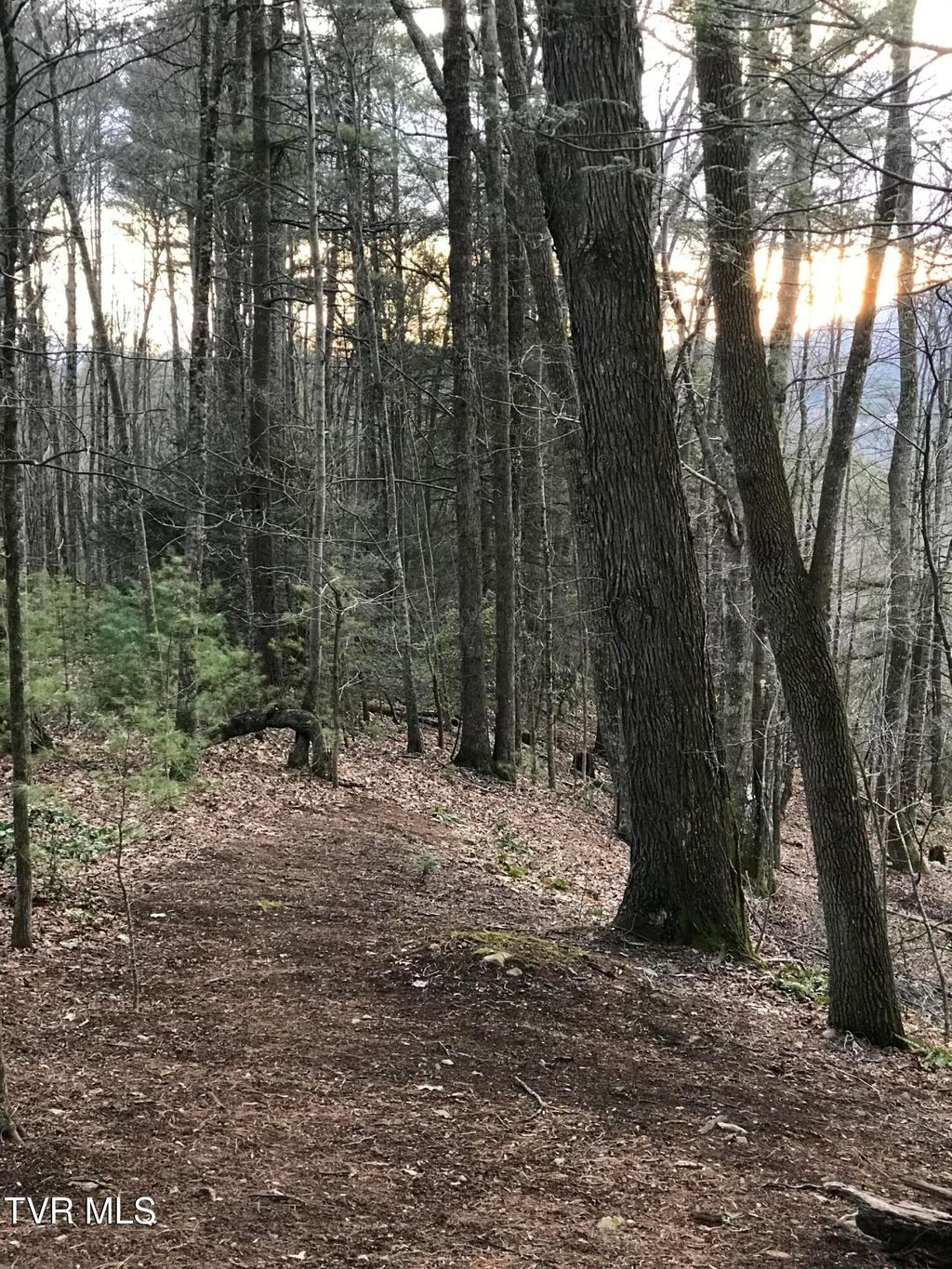 Photo of Tbd00 Mohawk Drive, Mountain City, TN 37683 (MLS # 9990927)