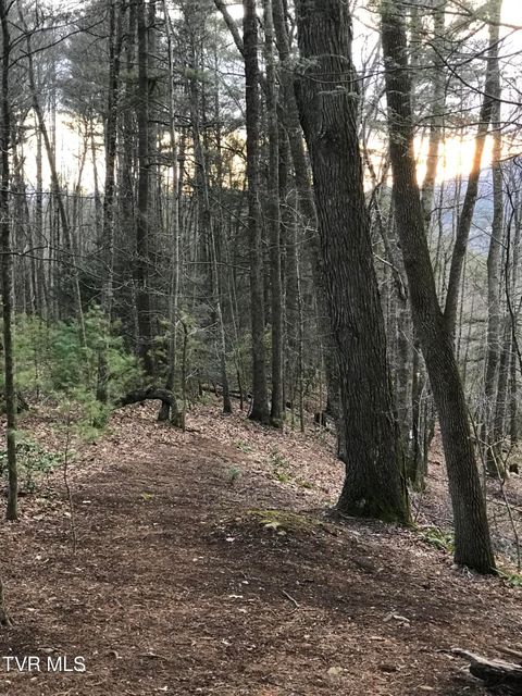 Vacant Land For Sale - TBD00 Mohawk Drive<br/> Johnson County, Mountain City, TN 37683