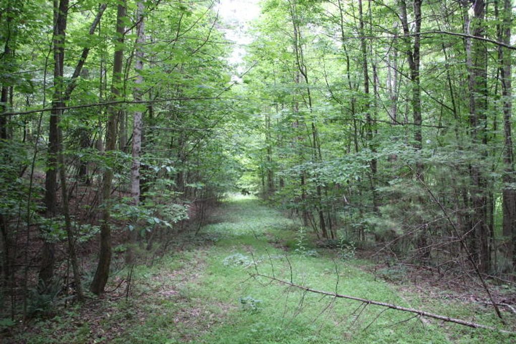 Photo of Tbd00 Mohawk Drive, Mountain City, TN 37683 (MLS # 9990927)