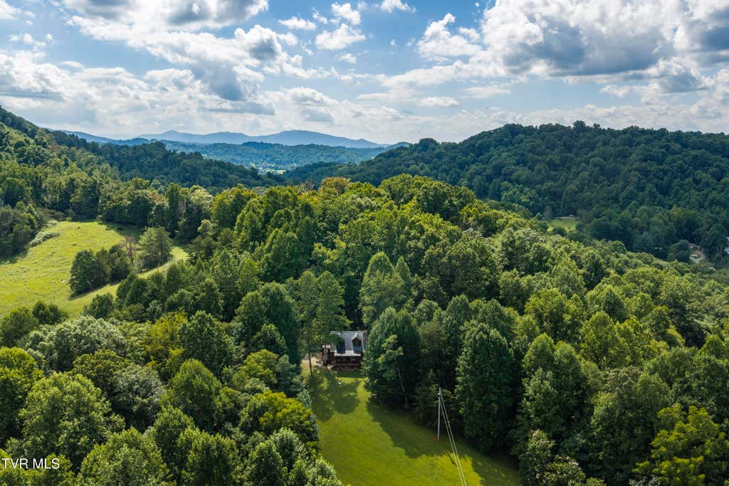 Photo of 113 Tanner Drive, Elizabethton, TN 37643 (MLS # 9999829)