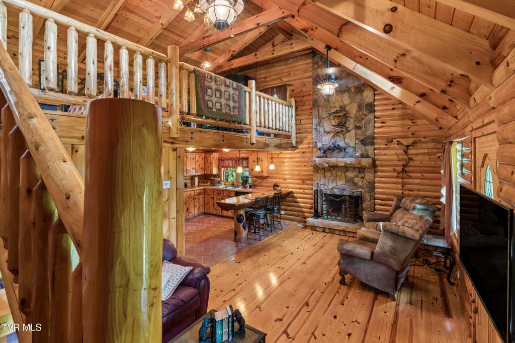 Photo of 113 Tanner Drive, Elizabethton, TN 37643 (MLS # 9999829)