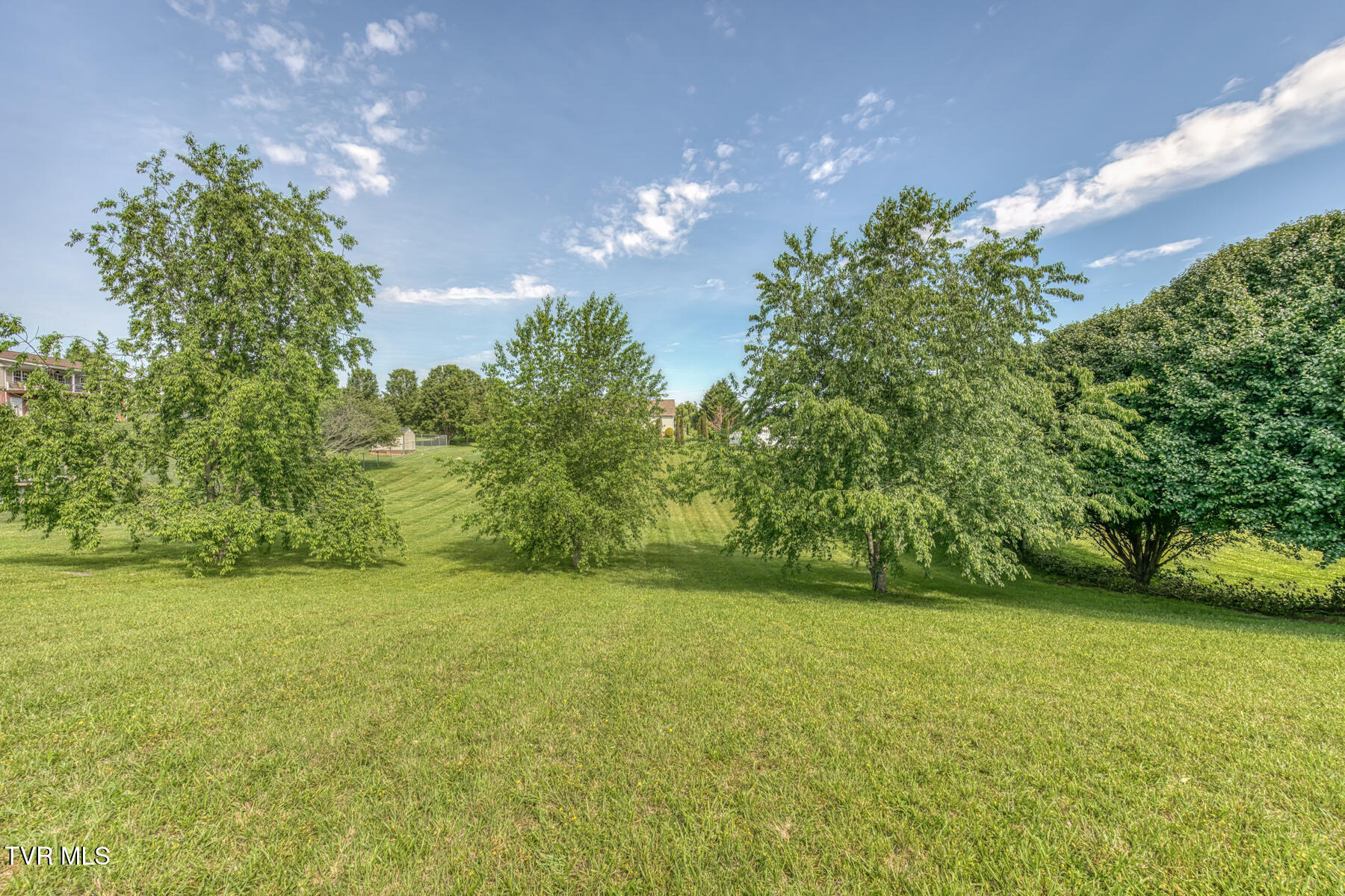 2063 Buttercup Lane, Limestone, Tennessee image 7