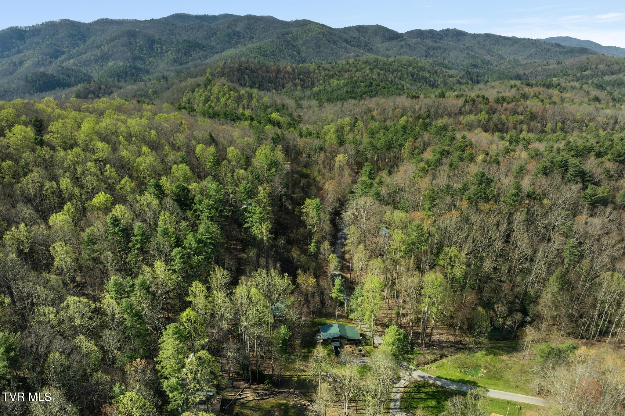 445 & 475 Log Cabin Road, Greeneville, Tennessee image 43
