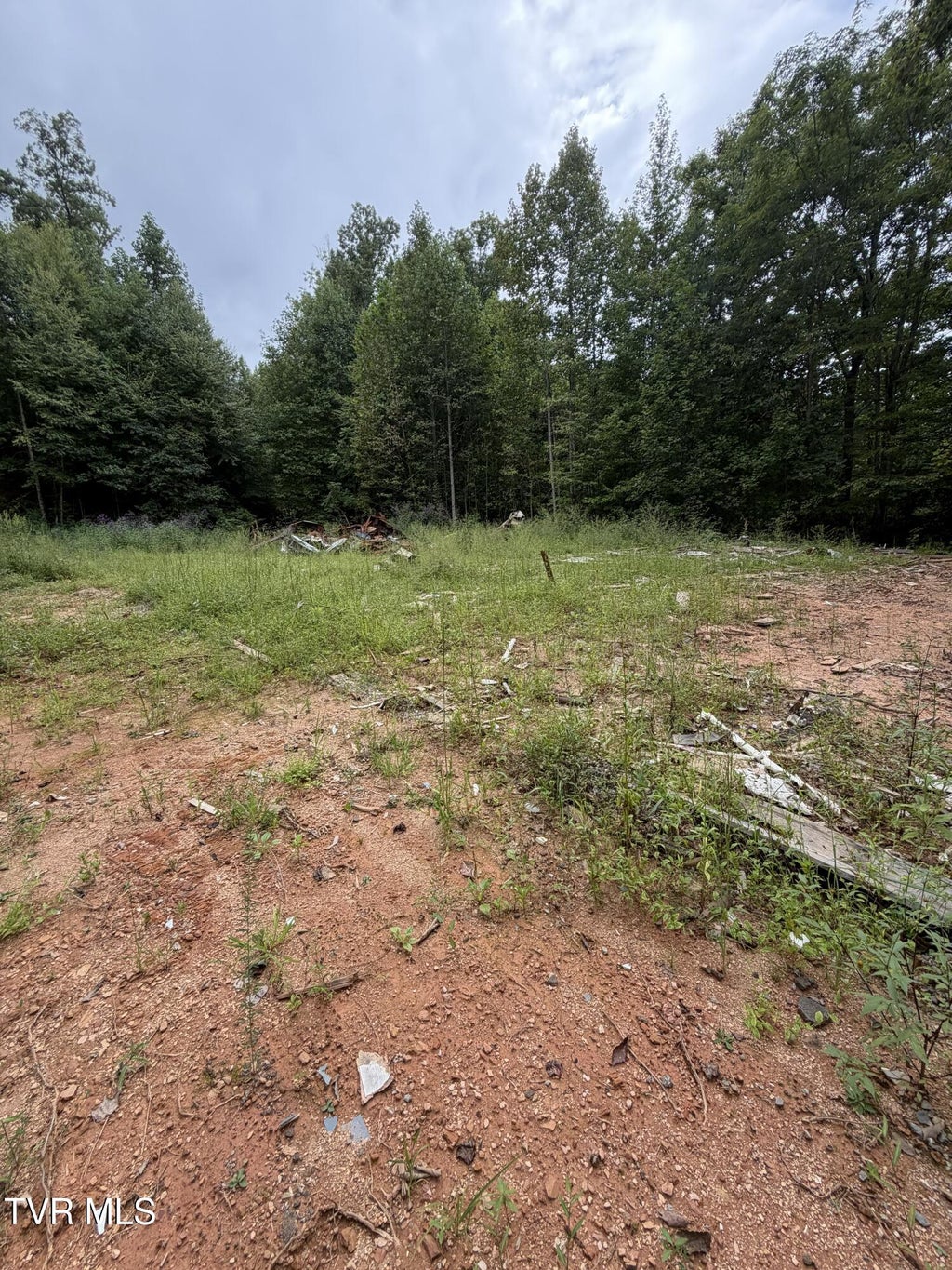 Photo of 4611 Catons Grove Road, Cosby, TN 37722 (MLS # 10000867)