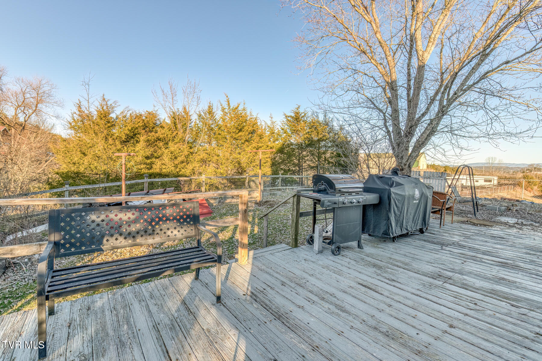 161 Baughard Hill Road, Mosheim, Tennessee image 4